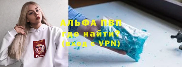 индика Богданович