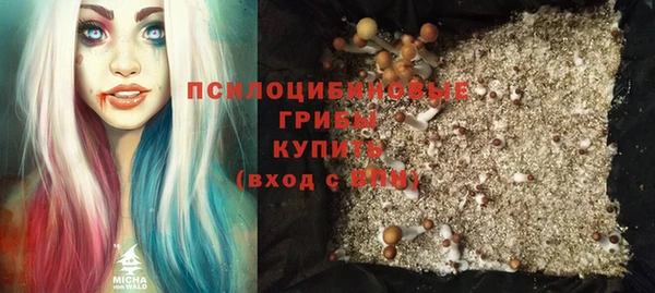 эйфоретик Белокуриха