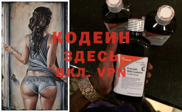 индика Богданович