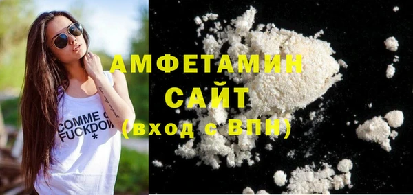 индика Каменка