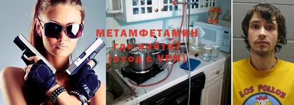индика Богданович