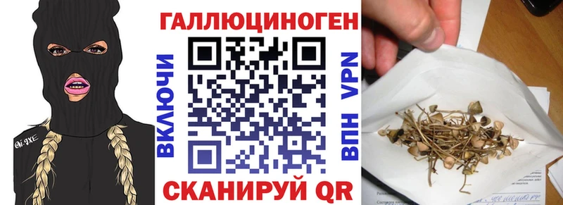 Псилоцибиновые грибы MAGIC MUSHROOMS Макаров