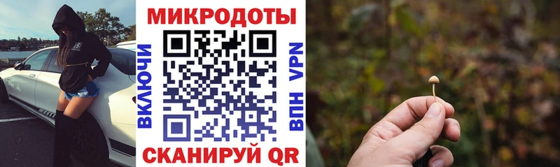 Галлюциногенные грибы Cubensis  Макаров 